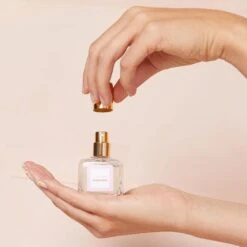 SOLIDAIRE TRANSPARENT 7 SOLIDAIRE TRANSPARENT -sous-vêtement boutique 12573000 D